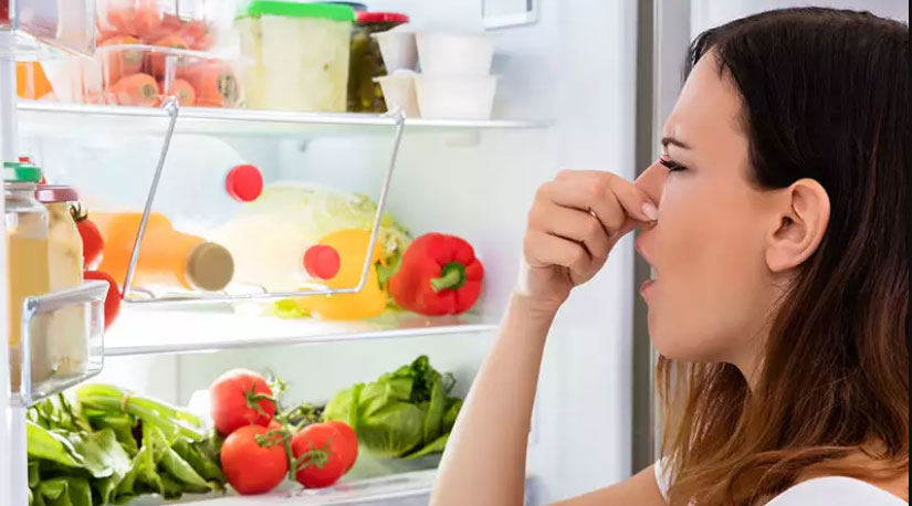 फ्रीजमा राख्न नहुने यी ८ खानेकुरा